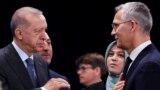 Sekreterê Giştî yê NATO Jens Stoltenberg û Serokê Tirkîyê Rcep Tayîp Erdogan (Arşîv)