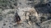 Thousands of Bodies Lie Buried in Rubble in Gaza 