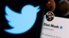 Musk blen rrjetin Twitter 
