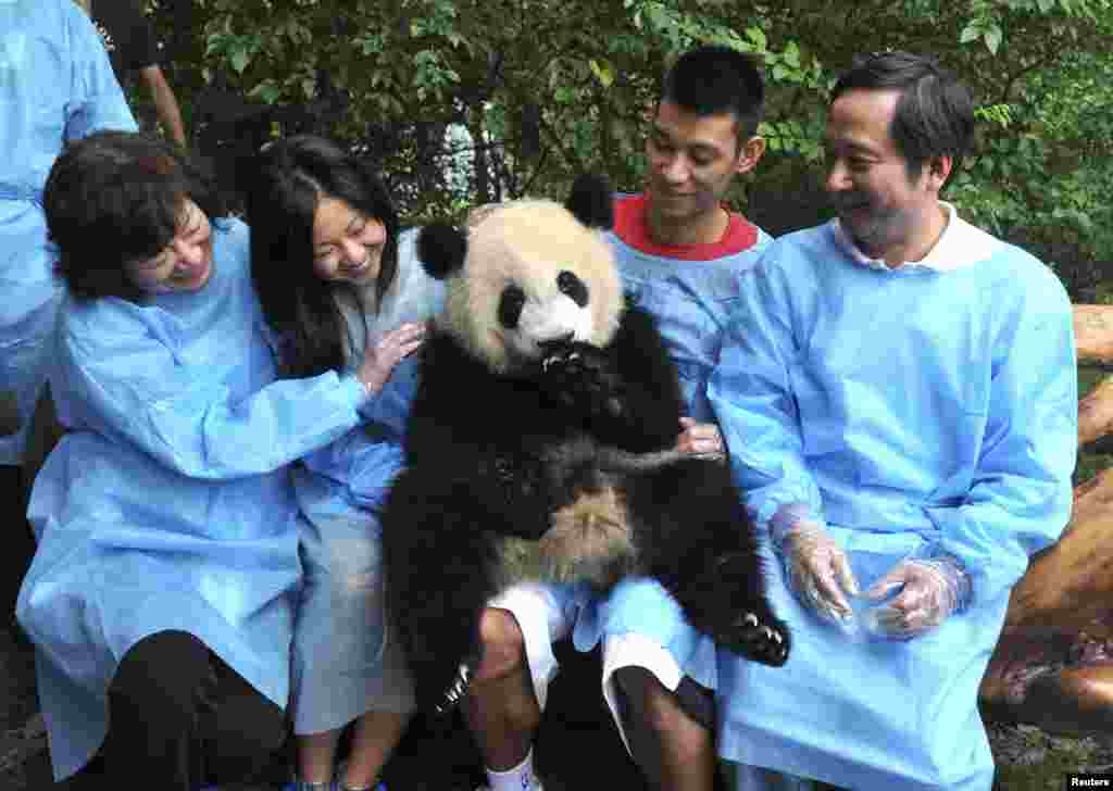 Houston Rockets basketball player Jeremy Lin (2nd R) holds a giant panda at Chengdu Research Base of Giant Panda Breeding in Sichuan province, China.