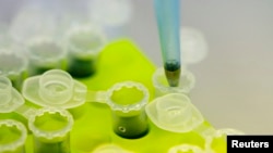 FILE - Laboratory technicians develop a technology to mass produce Ebola vaccine.