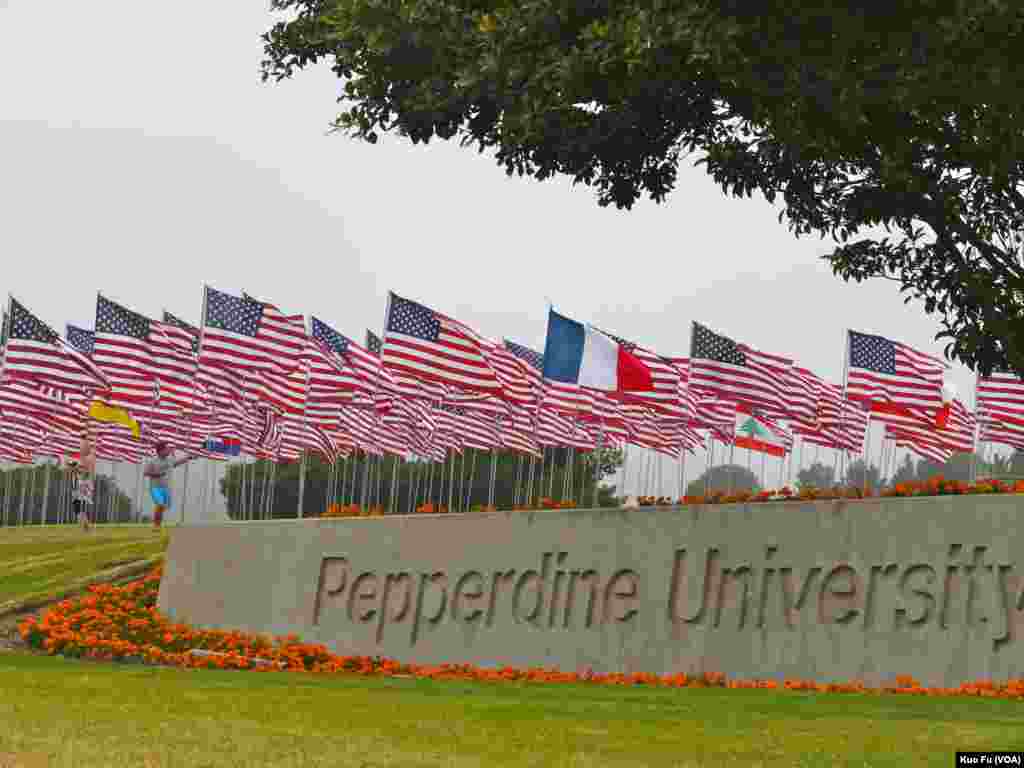 佩珀代因大学