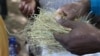 Workshop on developing climate-smart crops for a 2030 world. December 6-8 2011, Addis Ababa, Ethiopia. (CGIAR)