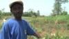 CAR Conflict Challenges Food Production