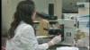 The World Health Organization estimates that 346 million people globally suffer from diabetes, and if current trends continue, deaths from the disease could double by 2030.