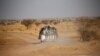 FILE - Migrants cross the Sahara Desert into Libya on the back of a pickup truck outside Agadez, Niger, May 9, 2016.