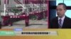 时事看台(林枫)：美中贸易谈判能否取得突破？