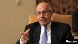 Mohamed El-Baradei speaks during an interview in his Cairo home, November 24, 2012 file photo. 