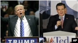 Ted Cruz espère l'empoter face à Donal Trump.