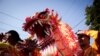 Chinese New Year5 2018