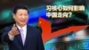 习核心确立，如何影响中国走向？