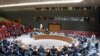 African Countries Push For Veto Power on UN Security Council