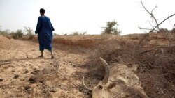 Temoignage d'un habitant de la ville d'Arbinda joint par Bagassi Koura