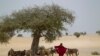 Najeriya Zata Samarda Na'ura Mai Kwakwalwa Kauyuka