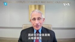 美国各州逐步开放 弗契医生提醒务必佩戴口罩