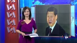 VOA连线：台外交部成立专案小组 观察习近平访美