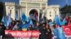 Акция протеста крымских татар в Стамбуле. Архивное фтото