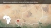 US Military Confirms Death of 3 Soldiers in Niger