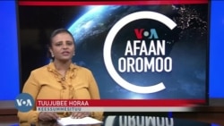 Tamsaasa Guyaadhaa Guyyaa