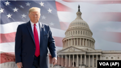 Donald Trump Impeachment 