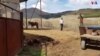 «Շինովի գործ էր սա․․․»․ զրույցներ Լոռու մարզի հեռավոր գյուղերում