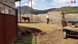 «Շինովի գործ էր սա․․․»․ զրույցներ Լոռու մարզի հեռավոր գյուղերում