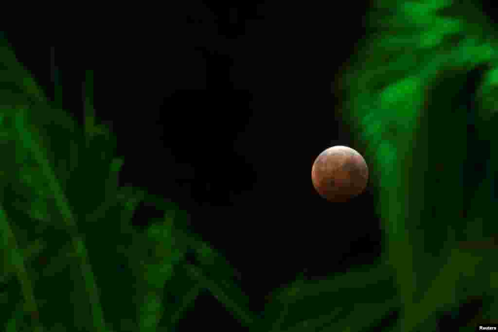 La Superluna, la más grande y brillante del año, coincidió con un total eclipse lunar haciendo que el astro luciera de color rojizo sobre los cielos de Honolulu, Hawaii.
