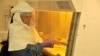 Researchers Rush Development of Antibodies to Treat Ebola