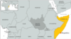 Somali al-Shabab Militants Kill Two Founders