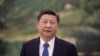 中国国家主席领导人习近平
