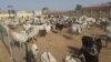‘Yan Sanda Sunyi Nasarar Kashe Barayin Shanu A Jihar Bauchi.