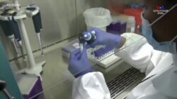 Անհրաժեշտ է, արդյոք, նոր պատվաստանյութ Omicron տարբերակի դեմ