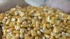 US Official: Biofuels 'Scapegoat' for High Food Prices