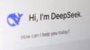 资料照片：DeepSeek的应用程序界面。(2025年1月29日)