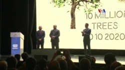 «10-րդ ամսի 10-րդ օրը՝ 10 միլիոն ծառ»