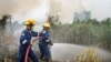 Petugas pemadam kebakaran berusaha memadamkan api di hutan Pekanbaru, Riau (27/2).