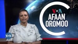 Tamsaasa Guyaadhaa Guyyaa