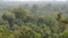Human Health Depends on Biodiversity