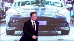 Իլոն Մասկը պատրաստվում է վաճառել Tesla-ի 10 տոկոսը