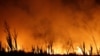 Una vista del incendio forestal que se ha extendido por más de 500.000 hectáreas en la norteña provincia de Corrientes, Portal San Antonio, Argentina, 14 de febrero de 2022.