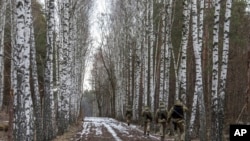 Oficerët e rojës kufitare ukrainase patrullojnë kufirin shtetëror Ukrainë-Bjellorusi në një pikë kontrolli në Novi Yarylovychi, Ukrainë, të hënën, 21 shkurt 2022