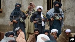 afghan taliban