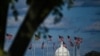 Democrats Leading in Several Key US Senate Races 