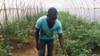 Un jeune agriculteur de Gantsou, à 45 km de Brazzaville, le 12 février 2019. (VOA/Arsène Séverin)