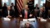 President Donald Trump speaks during a cabinet meeting at the White House, Wednesday, Jan. 2, 2019, in Washington. 