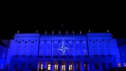 “На саміті ми розробимо дуже конкретні способи, якими НАТО може допомогти Україні” – високопосадовець Держдепу. Відео