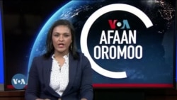 Tamsaasa Guyaadhaa Guyyaa