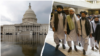 Congress Taliban کانگرس طالبان 