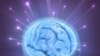 The world's best minds met in China for the 34th annual Battle of the Brains.