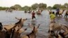 Cameroon Navy Hunts Boko Haram in Lake Chad